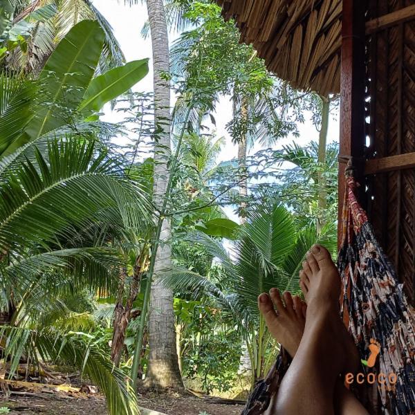 Ecoco Homestay Mekong Ben Tre Εξωτερικό φωτογραφία