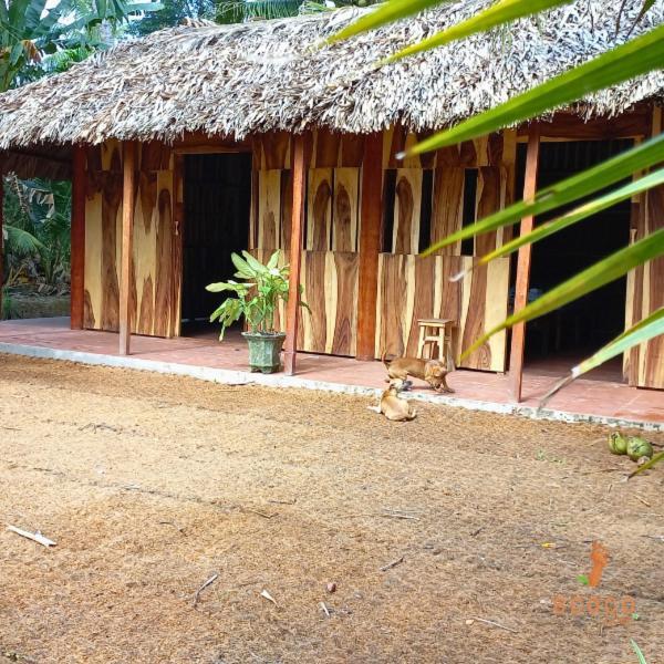 Ecoco Homestay Mekong Ben Tre Εξωτερικό φωτογραφία
